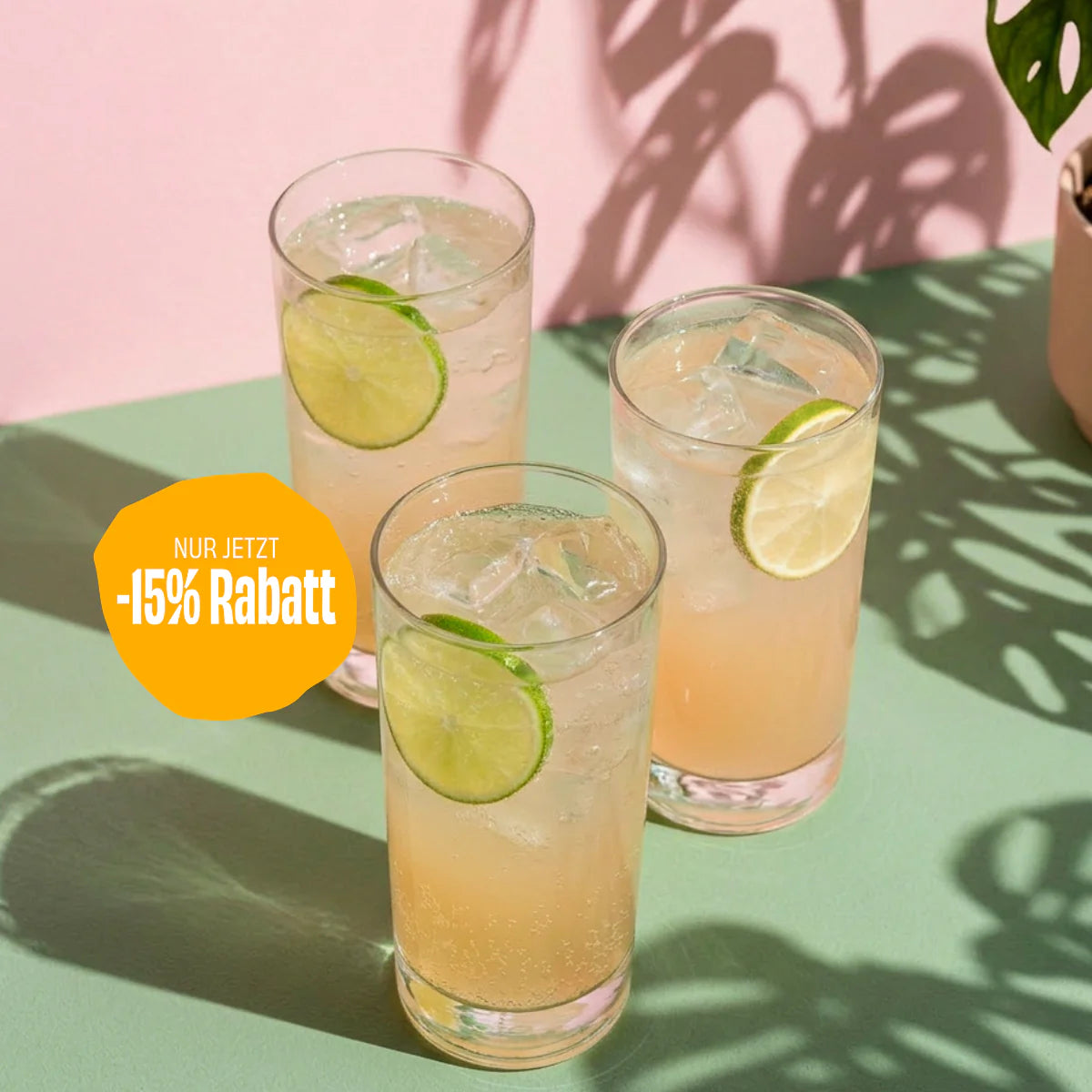 Eleganz und Kick: Dein alkoholfreier POLLY French Buck!