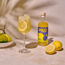 POLLY Sparkling Blanc - Citrus Spritz Grande Bundle