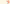 Aktionsbanner