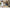 Aktionsbanner