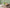 Glas mit Getränk und POLLY London Classic Flasche, Popcorn und einer Decke