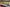 Aktionsbanner